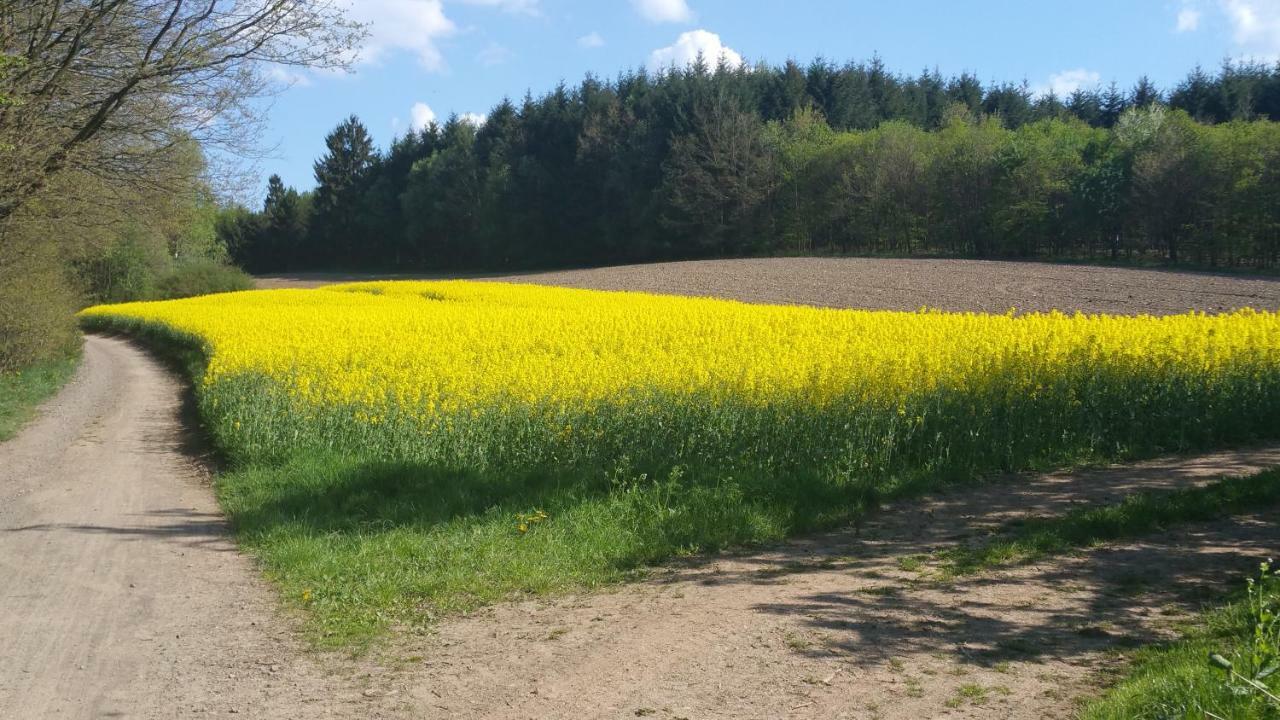 Ferienwohnung Auszeit Tholey Buitenkant foto