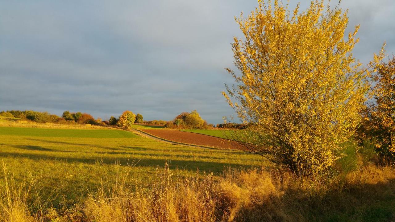 Ferienwohnung Auszeit Tholey Buitenkant foto